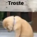 ملصق