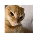 Çıkartma