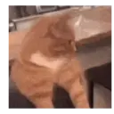Çıkartma