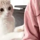 Çıkartma
