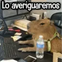 ملصق