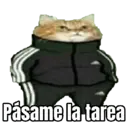 ملصق