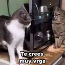 Çıkartma