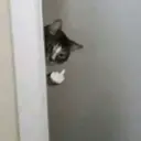 Çıkartma