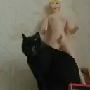 ملصق