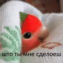 ملصق