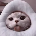 ملصق