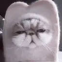 ملصق