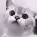 ملصق