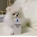 Çıkartma