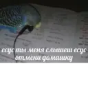 ملصق