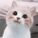 Çıkartma