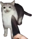 Çıkartma