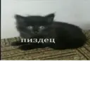 ملصق
