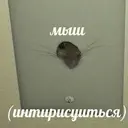 ملصق