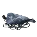 Çıkartma