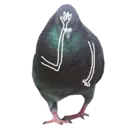 Çıkartma