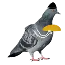 Çıkartma