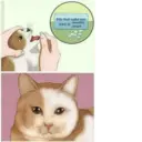 ملصق