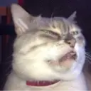 ملصق