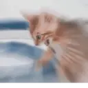 ملصق