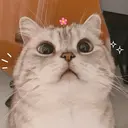 ملصق