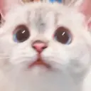 ملصق