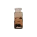 ملصق