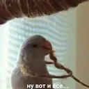 Çıkartma