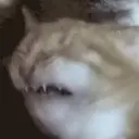 Çıkartma