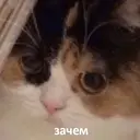 Çıkartma