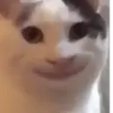 ملصق