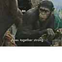 Çıkartma