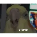 Çıkartma