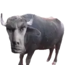 Çıkartma