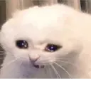ملصق