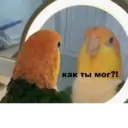 ملصق