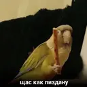 ملصق