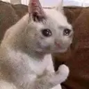 ملصق