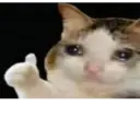 ملصق