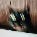 ملصق