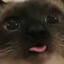 ملصق
