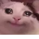 ملصق
