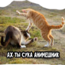 Çıkartma
