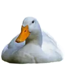 Çıkartma