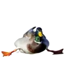 Çıkartma