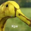 ملصق