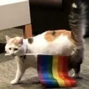 ملصق