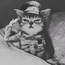 ملصق