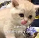 ملصق